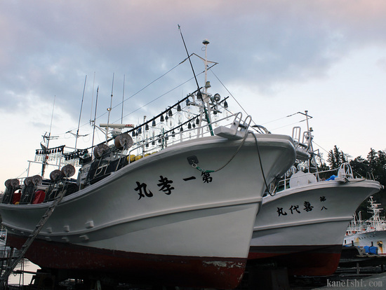 ２隻並んだ小型イカ釣り漁船