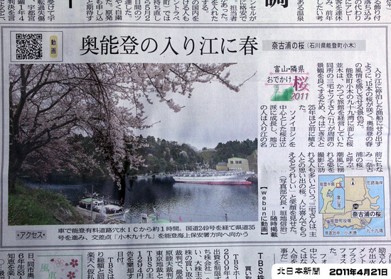 北日本新聞に掲載された九十九湾の桜の記事
