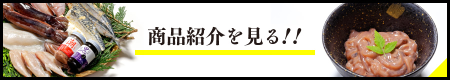 商品紹介を見る