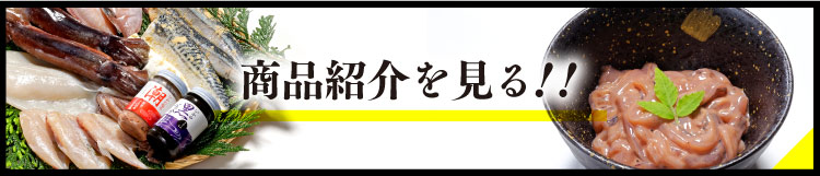 商品紹介を見る